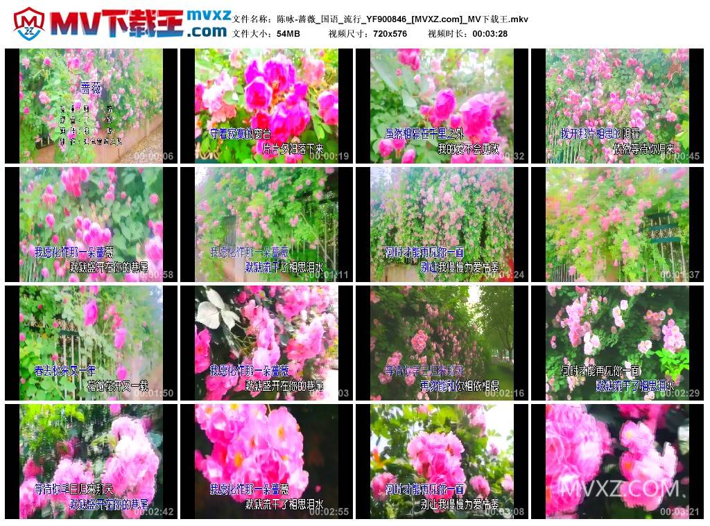 陈咏-蔷薇_国语_流行_YF900846